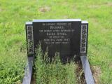 image of grave number 343011